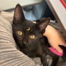 뉴 동호펜션 | 2025년 8월 일상기록