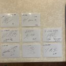 종합운동장로 | 사직동맛집기록 남편도 인정한 아라돈냉삼집 대패후기