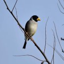 여주-1027 이미지