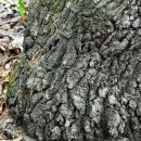 역사문화투어 이미지