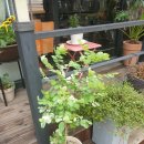 새나라약국 이미지