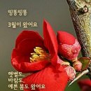 3월.3일.목요일 간추린 뉴스 이미지