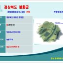 도시농부공인중개사사무소 | 인프라 우수한 시야확보되고 하루온종일 햇볕잘드는 도시농부 미래준비용 작고싼 소액땅매매, 봉화-2608