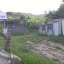 장승농장 이미지