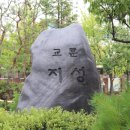 태장208