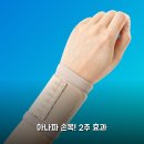(주)테스터코리아 | 아나파 손목 보호대 2주 써보니 헬스 골프 테니스 아대 후기
