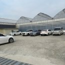 집현면1 | 경남 진주 아기랑 가볼만한 곳 키즈카페 못지 않은 실내 딸기수확체험 농장 다은딸기 내돈내산 후기