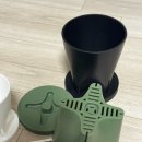 해송가든 | 구매후기, 내돈내산, 실내 화분 분갈이 하기! 소나무 분재 해송 구매후기, 해송키울 때 주의사항, 집꾸미기