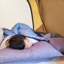 매향민박 이미지