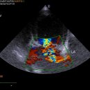 워너비동물병원 용산점 이미지