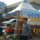 풍년농산물직거래장터