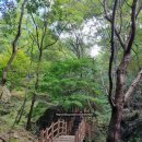 수암약수터 | 가볍게 걷기 좋은 수암봉 주말 산행 후기