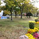 2019 오륙도평화축제 이미지