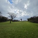 (주)잔디투어 이미지