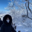 NR-5[제원로]-상-633 | [전라도 여행지 추천] '무주와 담양' 그리멀지않아요!/전라도 맛집포함/내돈내산/리얼후기