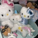 Queen뽑기 이미지