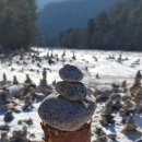 인제농장 이미지