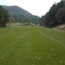 용평 버치힐골프클럽 이미지