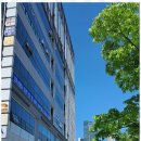 비전부동산공인중개사사무소 이미지