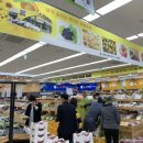 장성 꽃 화원 이미지