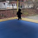 공작산계곡 오토캠핑장 이미지