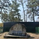 흥복사 - 1313 | 🦌 사슴과 벚꽃의 대환장 콜라보! 나라 흥복사 & 동대사 대불영접 여행기
