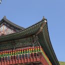 성남 대광사 네이버블로그