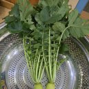 식생활개선교육 이미지