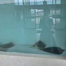 다이버푸드 | 군산 오션팔레트 잠수풀 이용 후기｜스쿠버다이빙 직접 다녀온 솔직 리뷰