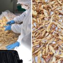 바삭상회 이미지