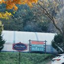 퍼머컬쳐 | 자연을 즐기는 다양한 방법을 전하는 퍼머컬처 농장 [우들라 농장] 방문기 - 우들라이프 마켓, 밸런스...