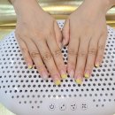 골드(Gold) 네일&스킨