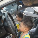 별내체육공원 이미지