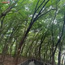 힐링센터사우나 이미지