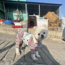 성림자동차공업사 네이버블로그