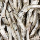 이치과의원 이미지