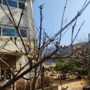 세움어린이집 이미지