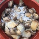 오크밸리펜션