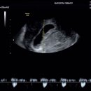 가연약국 이미지