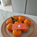 화심농장 이미지