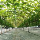 호동농장 이미지