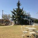 라노비아 이미지