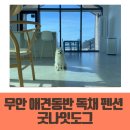 도그워시 | 광주 근교 애견동반 독채 펜션 무안 굿나잇도그