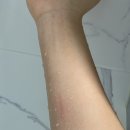 스타디움 코인 노래연습장 | 대학 생활 = 음주생활