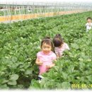 희주농장 이미지