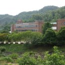 보은중앙약국 이미지
