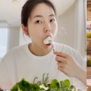 햇빛팜