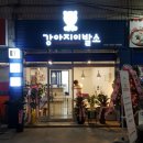 고고펫살롱 이미지