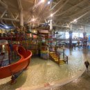 백운태권도 이미지