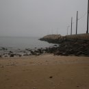 옥죽동해변 Daum카페